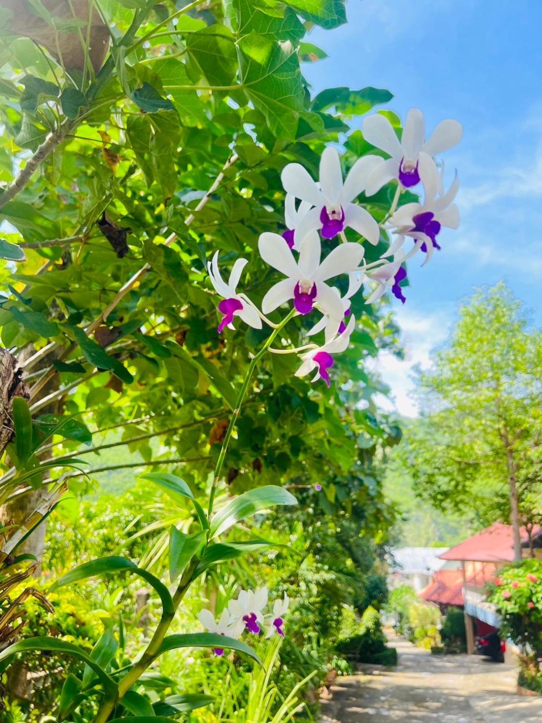 Suriyan Villa Erawan Kanchanaburi สุริยัน วิลล่า เอราวัณ กาญจนบุรี Tha Kradan Exterior photo